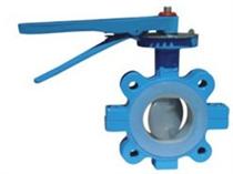 美標對夾全襯氟蝶閥